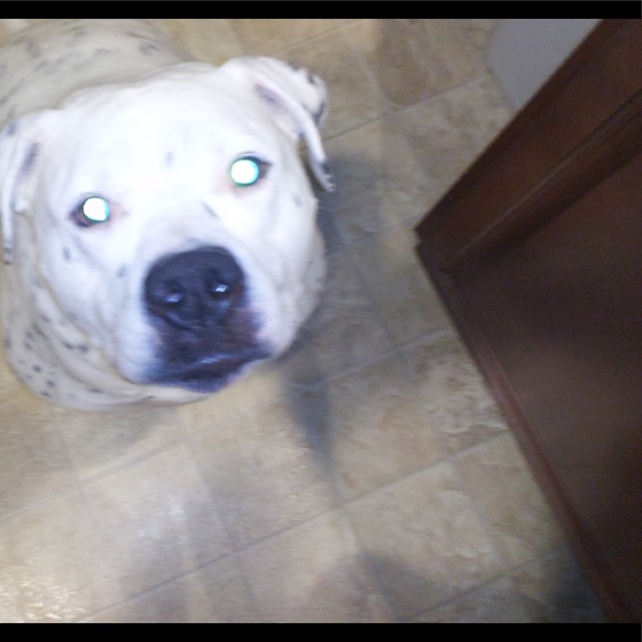 Meet your Posher, John - Picture 1 of 1